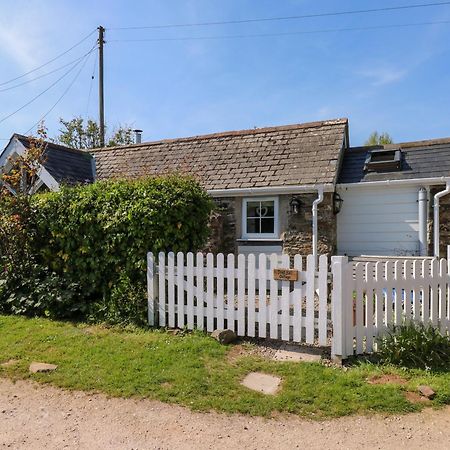 Toad Hall Cottage Totnes Esterno foto